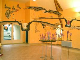 'Anie : Envol et atterrissage' expose  Lescun (2004)