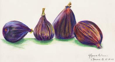 4 figues de Bretenoux  Mourenx le 10.XI.01